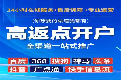 百度竞价推广运营实战技巧与经典案例剖析